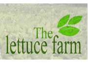 thelettucefarm